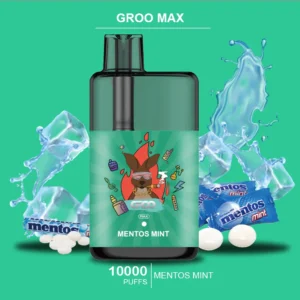 groo max – mentos mint – 10000 puffs