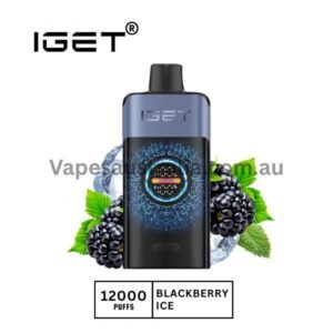 iget one 12000 puffs blackberry ice