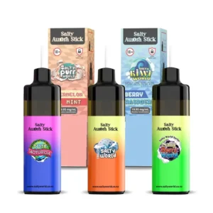 salty aurora stick pre filled kit